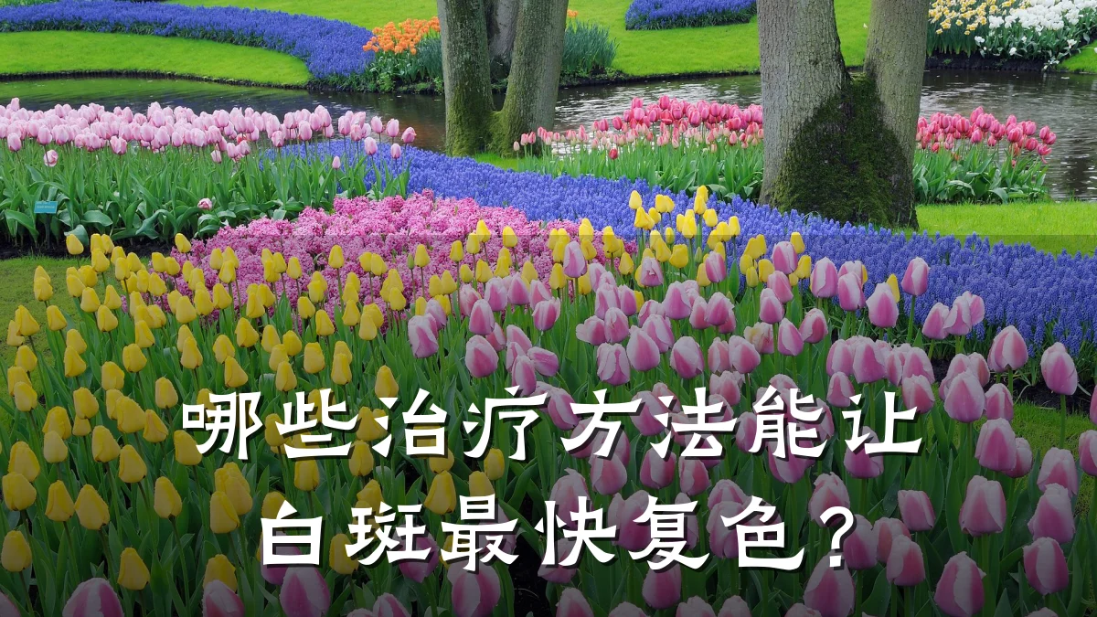哪些治疗方法能让白斑最快复色?