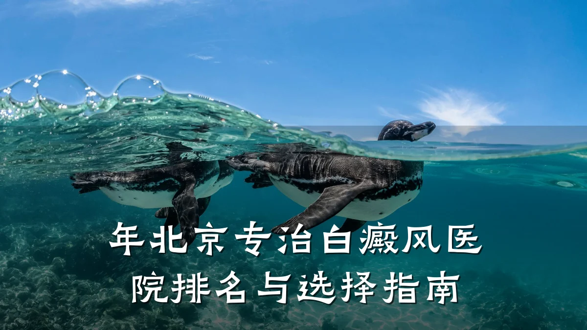 年北京专治白癜风医院排名与选择指南