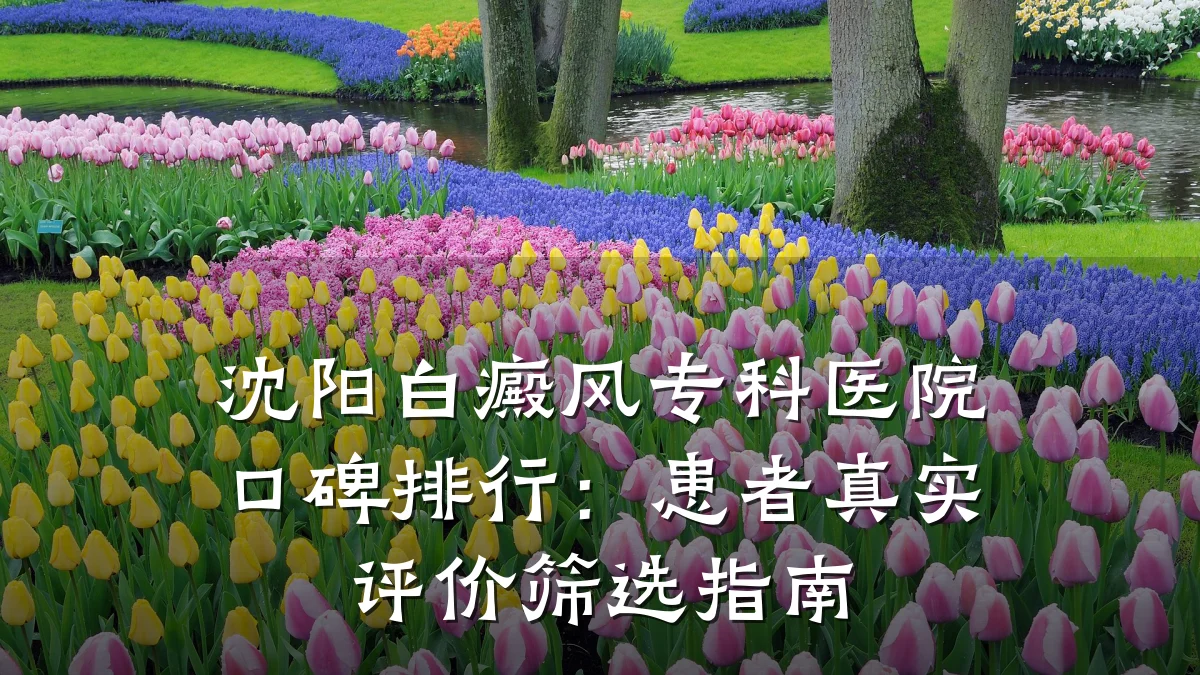 沈阳白癜风专科医院口碑排行：患者真实评价筛选指南