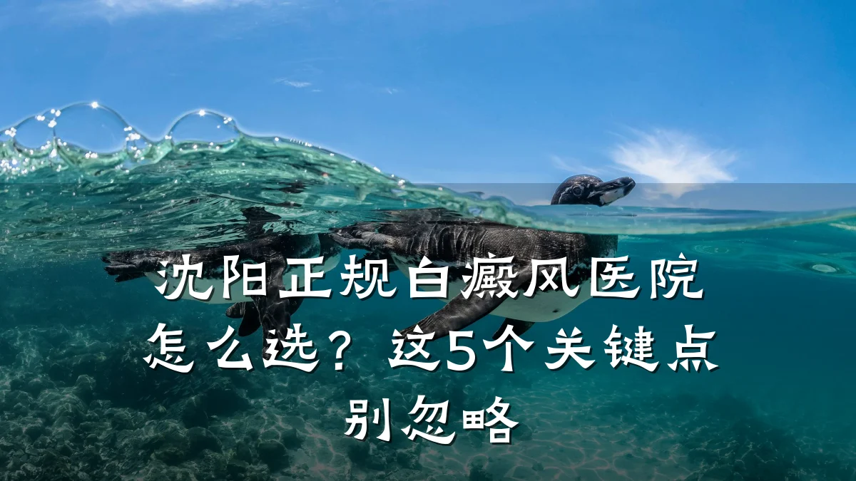 沈阳正规白癜风医院怎么选?这5个关键点别忽略