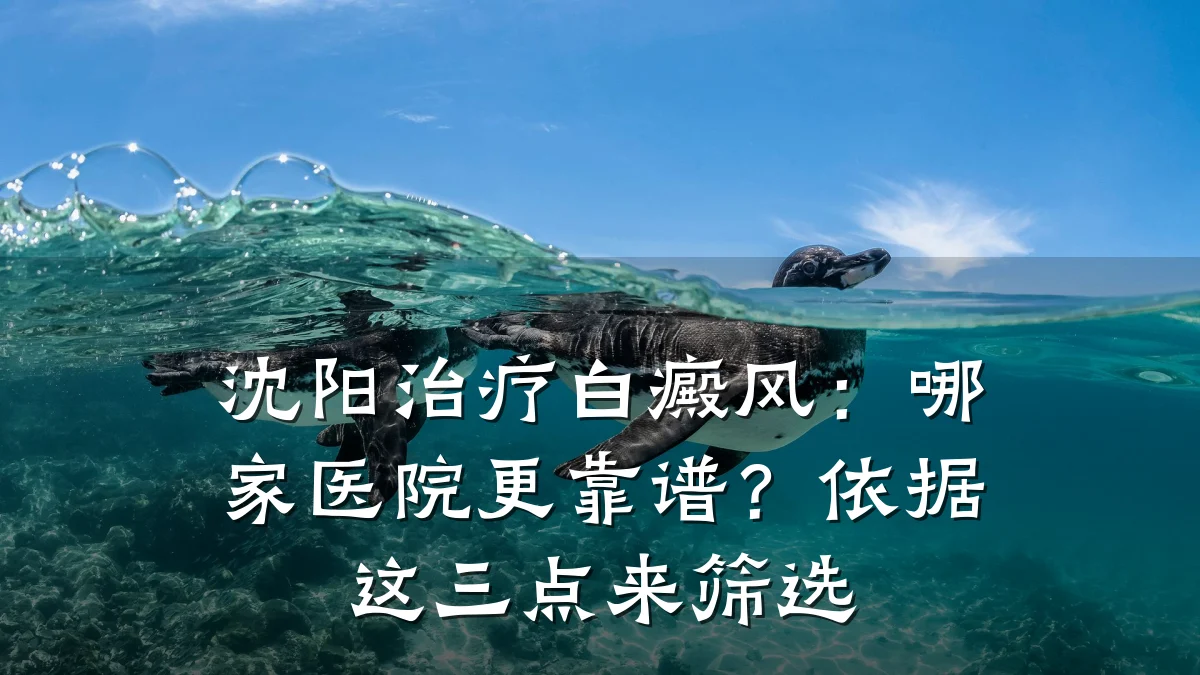 沈阳治疗白癜风：哪家医院更靠谱？依据这三点来筛选