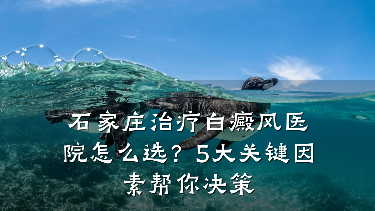 石家庄治疗白癜风医院怎么选?5大关键因素帮你决策