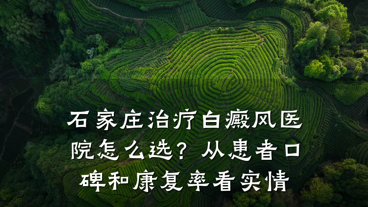 石家庄治疗白癜风医院怎么选？从患者口碑和康复率看实情
