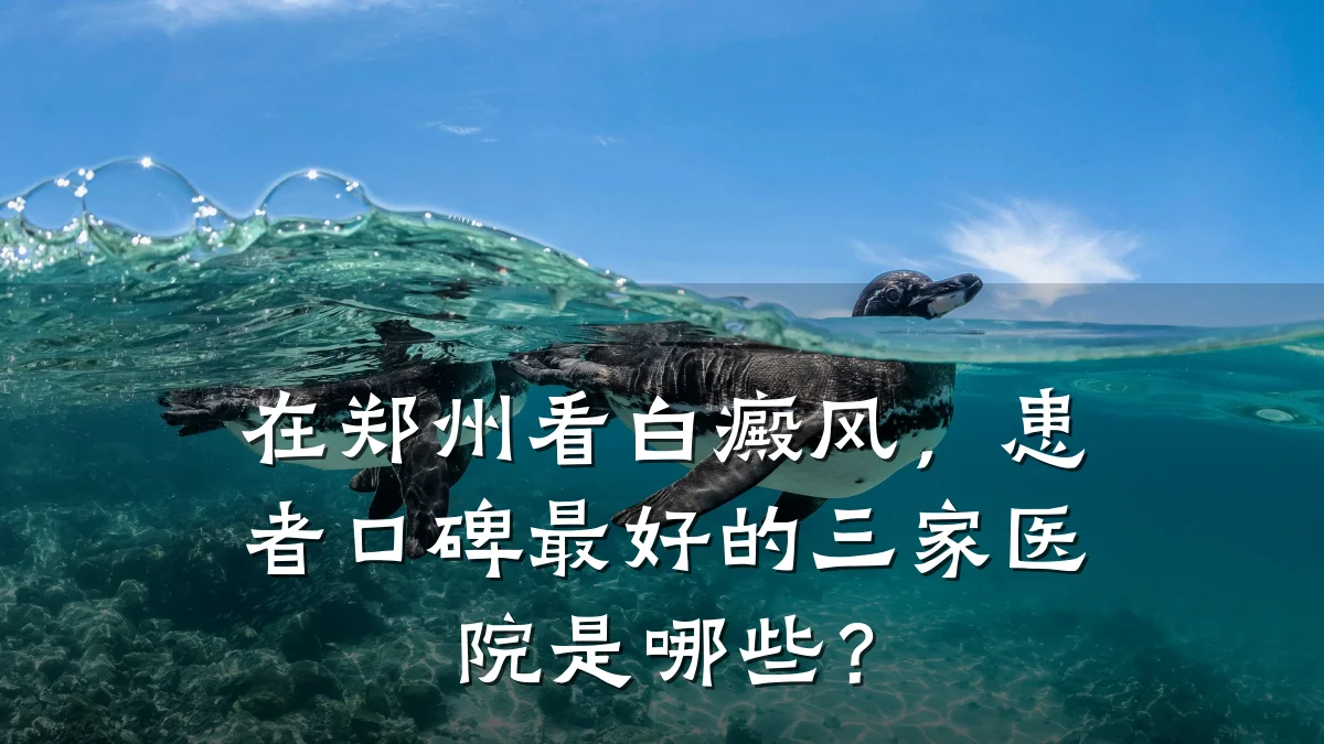 在郑州看白癜风，患者口碑最好的三家医院是哪些？