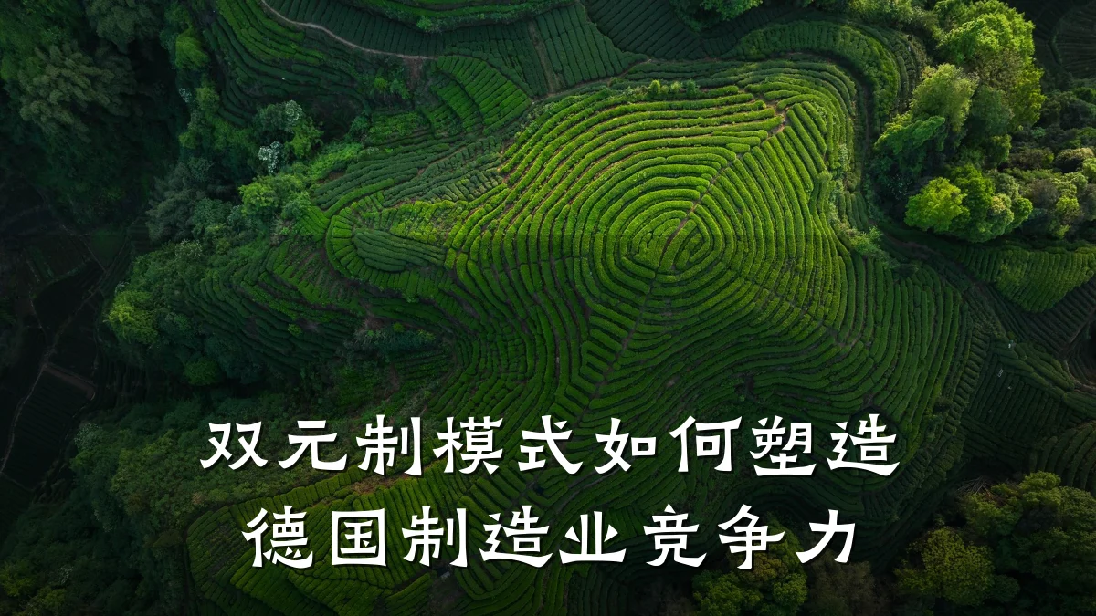 双元制模式如何塑造德国制造业竞争力