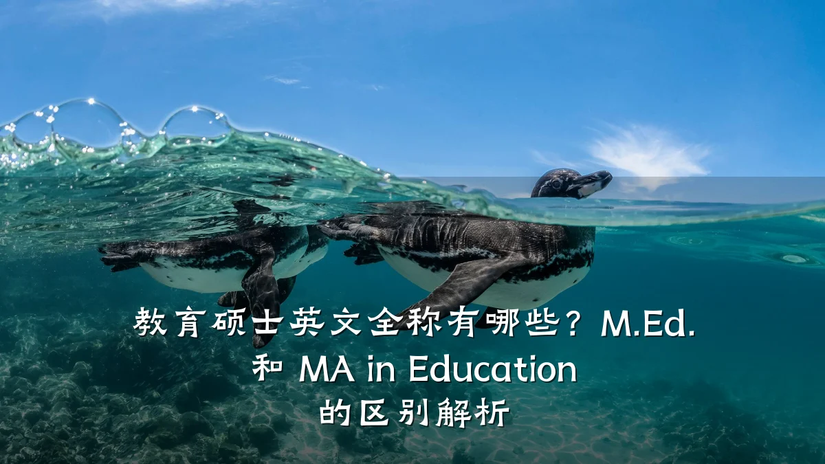 教育硕士英文全称有哪些?M.Ed. 和 MA in Education 的区别解析