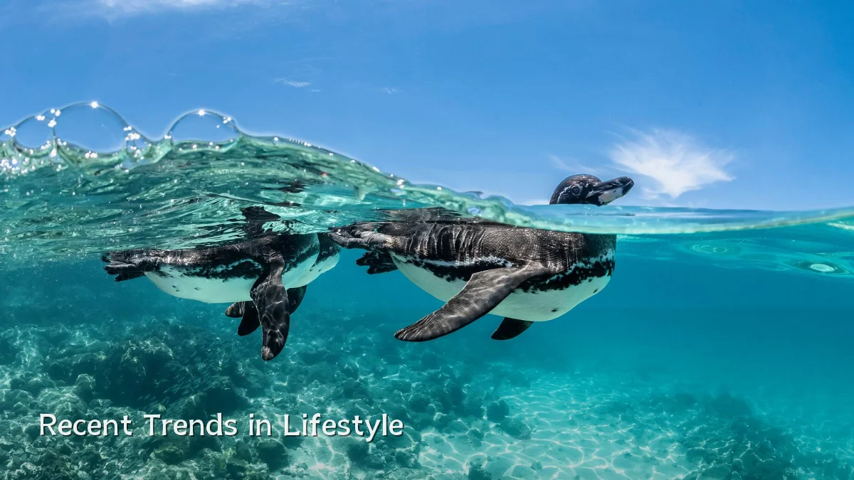 Recent Trends in Lifestyle